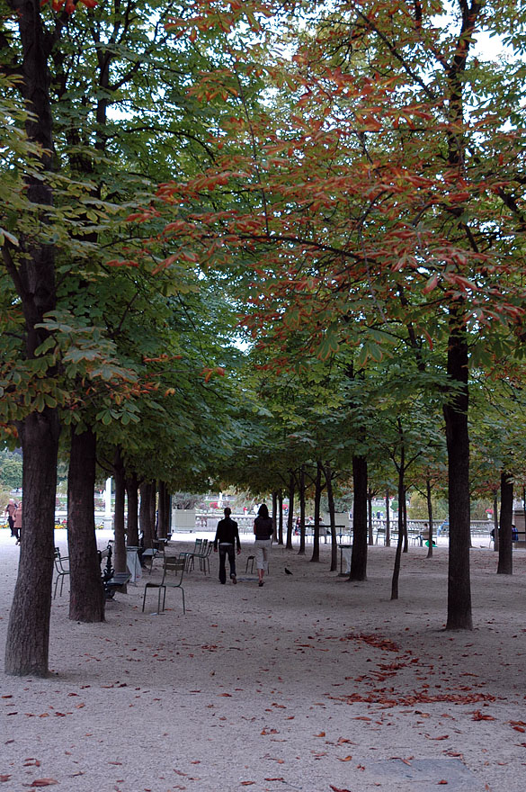 150 Jardin du Luxembourg
